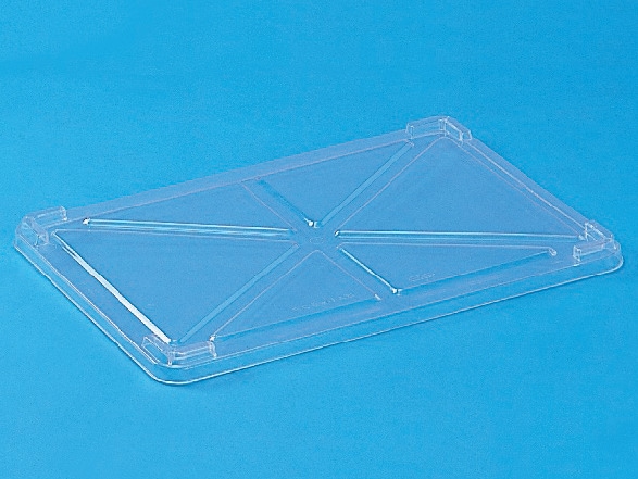 ���áʥ��󥳡��˥��ꥹ����Ф󤸤夦�ե���Ʃ�����ü����