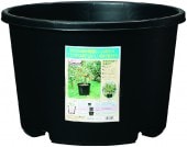 DIC�ץ饹���å���������ѡ�NP�ݥåȡ�100