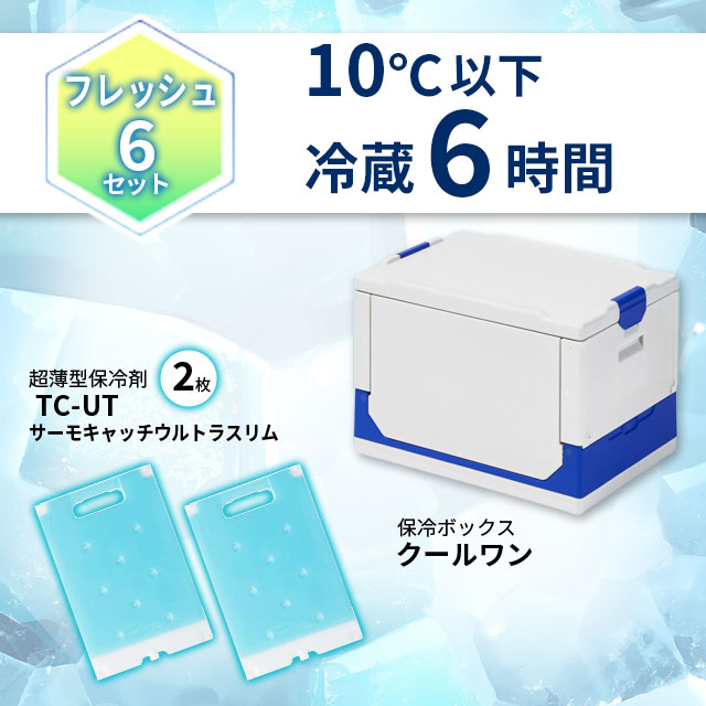 �拾�� �ե�å���6���å� ������������+��¢�����(TC-UT �����⥭��å�����ȥ饹���)��2���ա���¢��¸6����(10��ʲ�)��