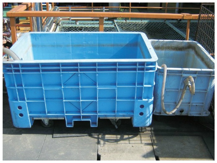 ����ץ饹���å����ȡ������ѡ��ܥå���500�����ץ������ղù��ġ����㥹������6�����������2�����סˡ��ӿ������Ϥ��