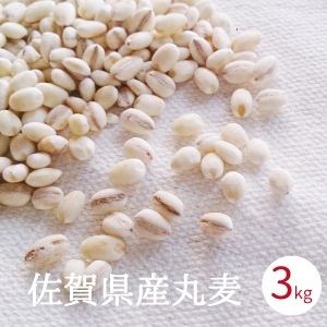 ���� �� ����̵�� ���츩�� 3kg