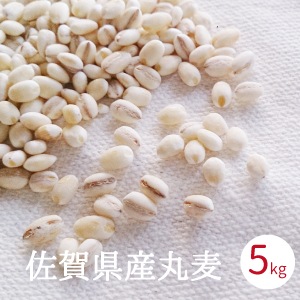 ���� �� ����̵�� ���츩�� 5kg