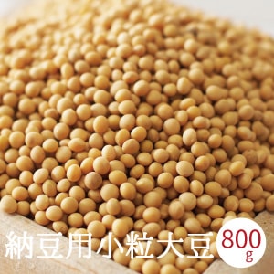納豆用小粒大豆 800g 令和5年産 国産 すずおとめ スズオトメ