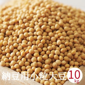 納豆用小粒大豆 10kg 令和6年産 国産 ゆきしずか ユキシズカ 北海道産