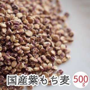 ����� �� ����̵�� 500g ��ɲ����