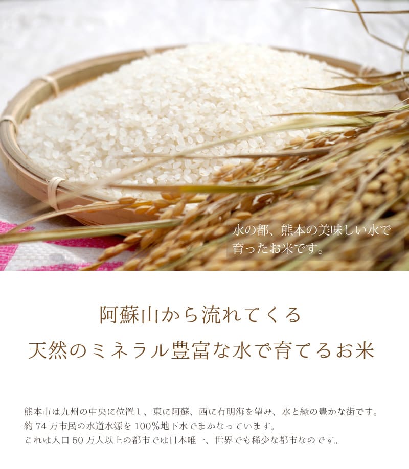����̵�� ���ƥ��å� ������2kg ���Τ��ޤ���2kg