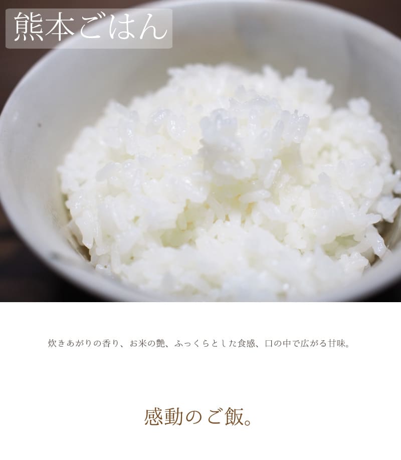 ����̵�� ���ƥ��å� ������2kg ���Τ��ޤ���2kg