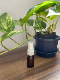 吉野ひのき精油（アロマ精油）遮光瓶入りスプレータイプ 20ml　※水蒸気蒸留法