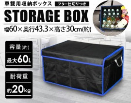 LandField 折り畳み収納ボックス LF-CB060-BK 収納 タンス 車 アウトレット 仕事 多機能