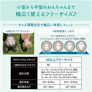 大王製紙 キミおもい アクティブウェア M-L 26枚 （犬用 衛生用品／紙オムツ）(卸商品)