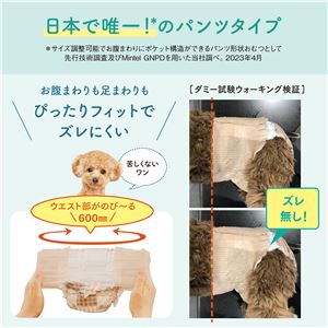 大王製紙 キミおもい アクティブウェア M-L 26枚 （犬用 衛生用品／紙オムツ）(卸商品)