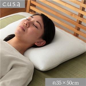 中材 パイプ 枕 抗菌防臭 消臭 約35×50cm ナチュラルNK005