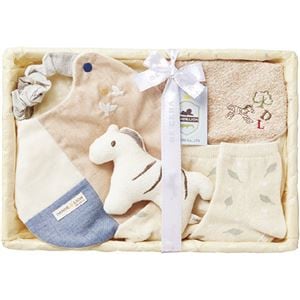 ダンデライオン お祝いおでかけセット C5031037NK005