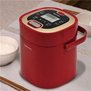 ベアーマックス マルチ・ライスクッカー(2.5合炊) レッド 19.2×20.6×21.2cm C6114546NK005
