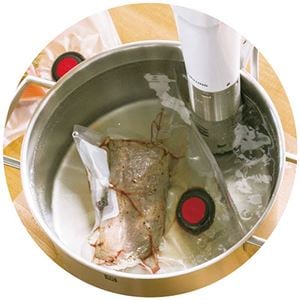 ツヴィリング エンフィニジー 低温調理器 4155-015NK005