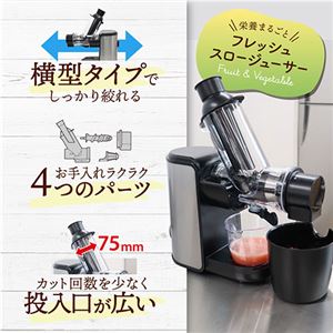 サンコー 新鮮酵素も栄養もまるごと味わう フレッシュスロージューサー WHSLJUSBK(卸商品)
