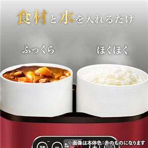 SOUYI JAPAN ソウイジャパン マルチスチーム炊飯器 ホワイト SY-110(卸商品)