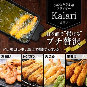 サンコー おひとりさま用フライヤー カラリ SGLFRYSBKNK005