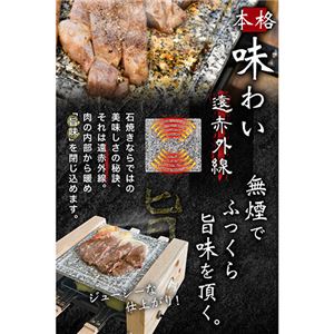 サンコー 至高のひとり焼肉 「俺の石焼きプレート」 S-WSG21BNK005
