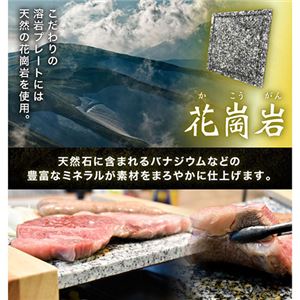 サンコー 至高のひとり焼肉 「俺の石焼きプレート」 S-WSG21BNK005