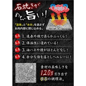 サンコー 至高のひとり焼肉 「俺の石焼きプレート」 S-WSG21BNK005