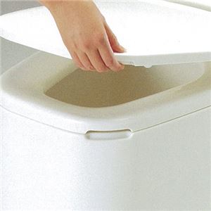 山崎産業 リフォームトイレP型（両用式）1台(卸商品)