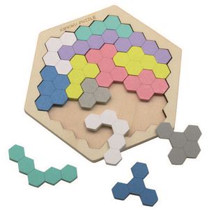 (まとめ) イクモク木製知育パズル 六角形 【×2セット】NK005