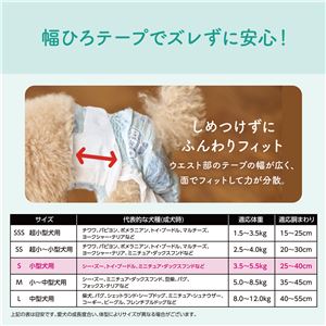 大王製紙 キミおもい リラックスウェア S 36枚 （犬用 衛生用品／紙オムツ）(卸商品)