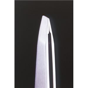 グリーンベル G-2151 匠の技 ステンレス製 毛抜き 先斜め 工具 ツール DIY 作業工具 道具(卸商品)