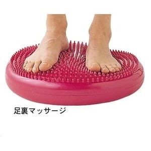 バランスディスク(卸商品)