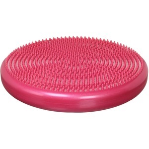 バランスディスク(卸商品)