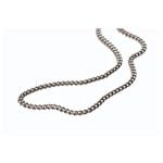 Phiten（ファイテン） チタンチェーンネックレス 40CM TC04NK005|卸直送品