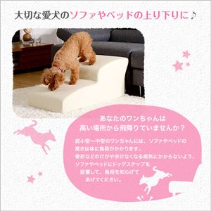 ドッグステップ/犬用階段 【2段タイプ アイボリー】 幅約40.5cm 合成皮革/合皮 ウレタン 〔ペット用品 転倒・ケガ防止用品〕(卸商品)