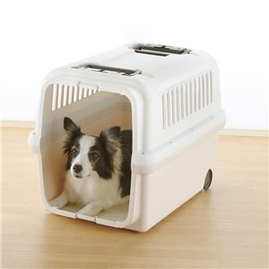 キャンピングキャリー L アイボリー【ペット用品】(卸商品)