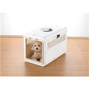 キャンピングキャリー折りたたみ M アイボリー【ペット用品】(卸商品)
