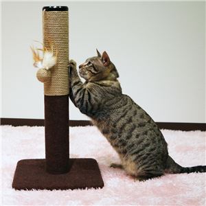（まとめ）モダンルーム 爪みがきポール （ペット用品）【×6セット】(卸商品)