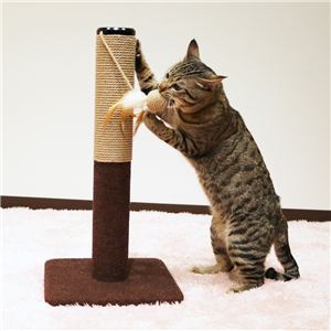 （まとめ）モダンルーム 爪みがきポール （ペット用品）【×6セット】(卸商品)