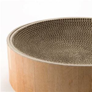 （まとめ）猫壱 バリバリボウル 猫柄（ペット用品）【×5セット】(卸商品)