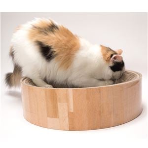 （まとめ）猫壱 バリバリボウル 猫柄（ペット用品）【×5セット】(卸商品)