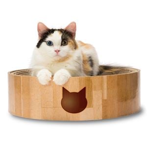(まとめ)猫壱 バリバリボウル 猫柄(ペット用品)【×5セット】(卸商品)