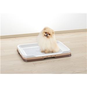 （まとめ）お掃除簡単ステップトレー レギュラー ダークブラウン (ペット用品) (×2セット）(卸商品)