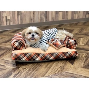 Pet Bed（ペットベッド）あご置きクッション付き オレンジ×キャメル(卸商品)