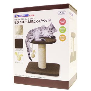 （まとめ）キャティーマンモダンルーム 寝ころびベッド【×3セット】(卸商品)