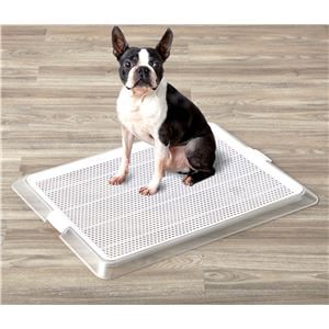 ペットレー クリアメッシュ M （ペット用品）(卸商品)