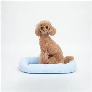 （まとめ） タオルマット S ブルー 【×5セット】 （ペット用品）(卸商品)