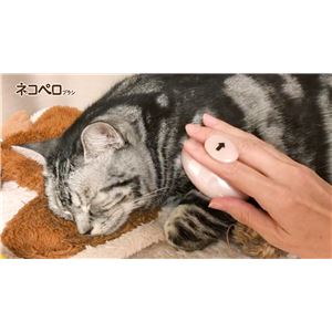 （まとめ） ペットキレイ ごきげんケア ネコペロブラシ 【×5セット】 （ペット用品）(卸商品)