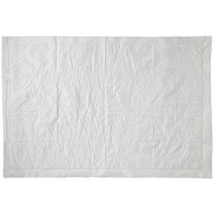 TANOSEE 業務用吸水シート Lサイズ（スーパーワイド） 1セット（160枚：40枚×4パック）(卸商品)