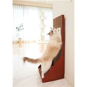 ガリガリウォール 100 ブラウン （ペット用品・猫用）(卸商品)