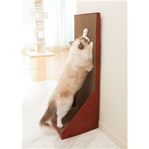 ガリガリウォール 100 ブラウン （ペット用品・猫用）(卸商品)