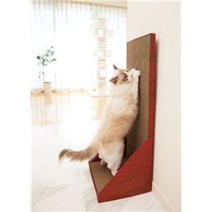ガリガリウォール 100 ブラウン （ペット用品・猫用）(卸商品)